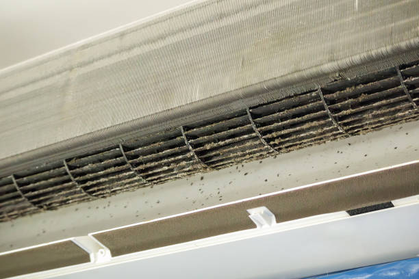 Best Air Duct Cleaning Near Me  in Royal City, WA
